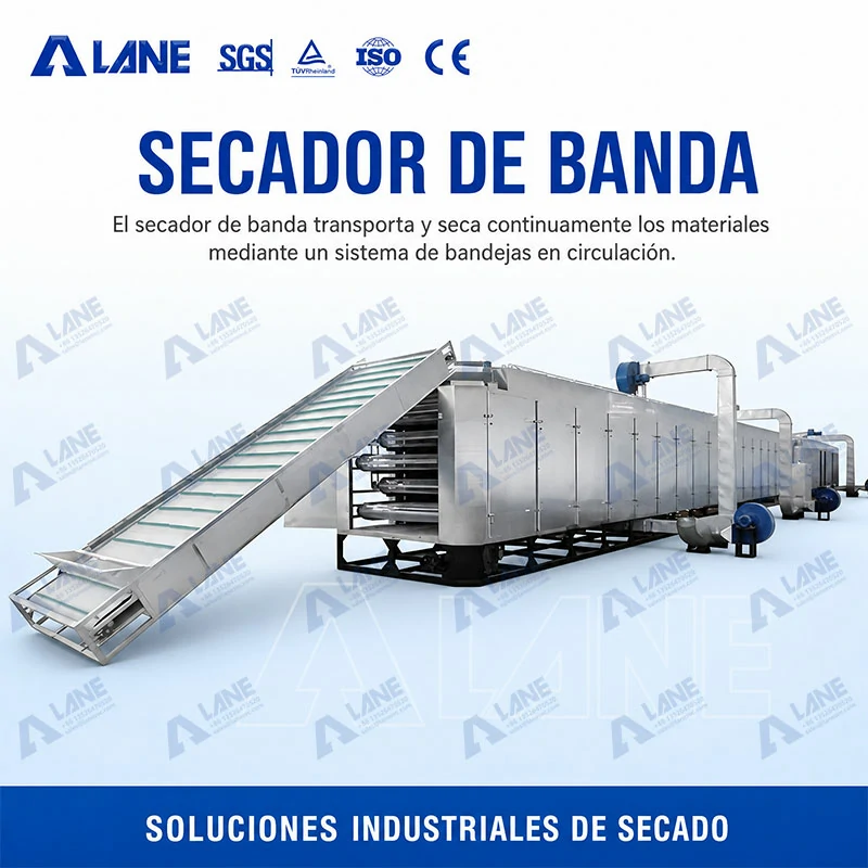 Secadora de cinta