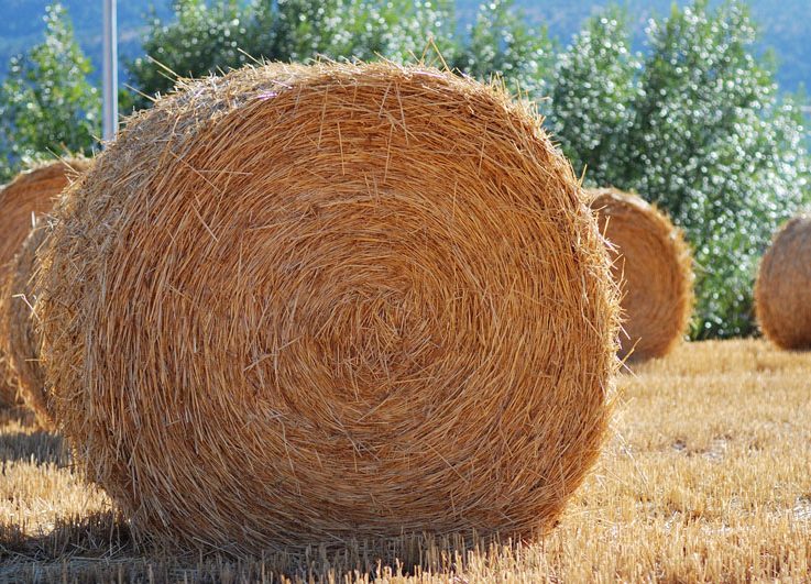Producción de Abono Orgánico a partir de Paja de Cereales