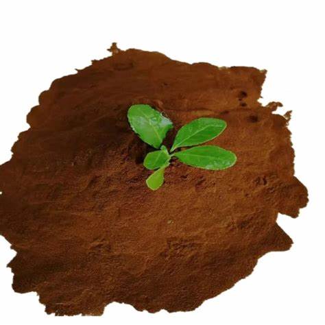 Línea de Producción de Fertilizantes en Gránulos con Xantato: Tecnología y Beneficios