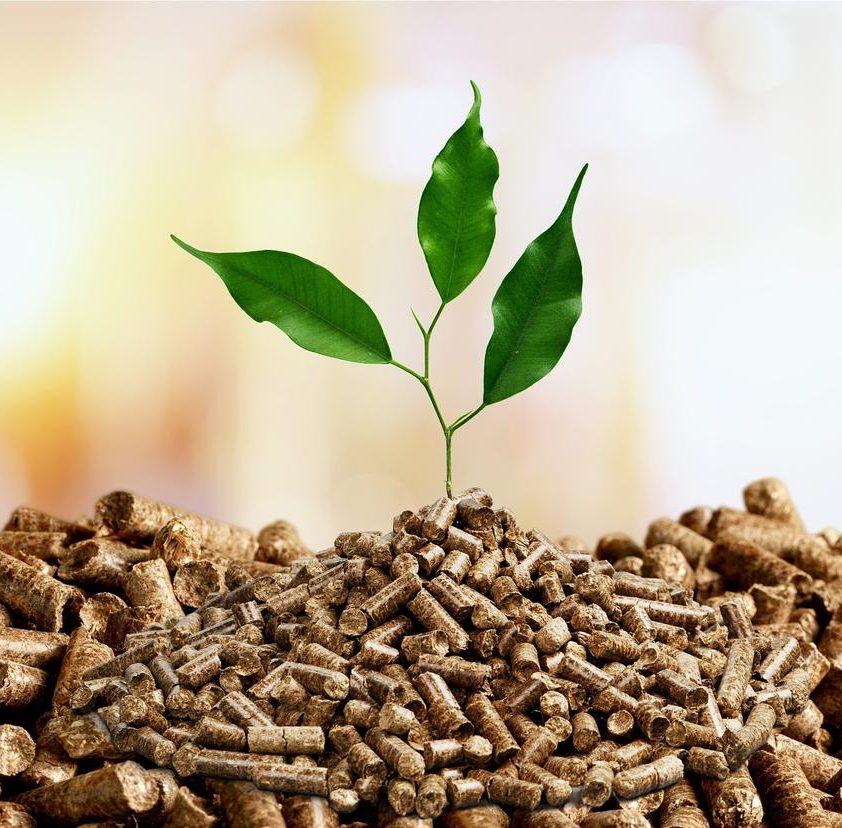 Afrontar los retos de las materias primas orgánicas en las fábricas de fertilizantes