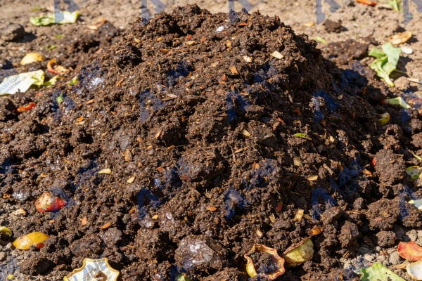 Residuos de frutas y verduras: Transforma desechos en compost de calidad con las máquinas LANE
