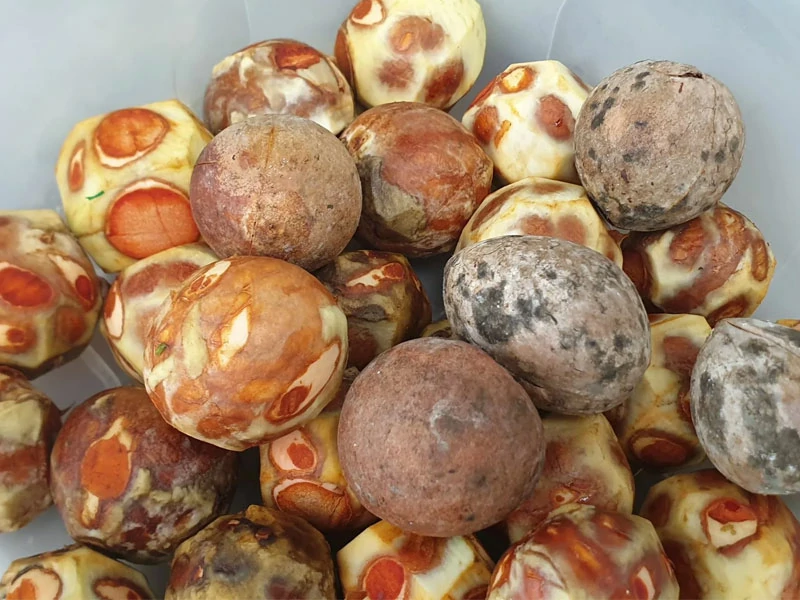 Línea-de-producción-de-fertilizante-orgánico-de-aguacate-3