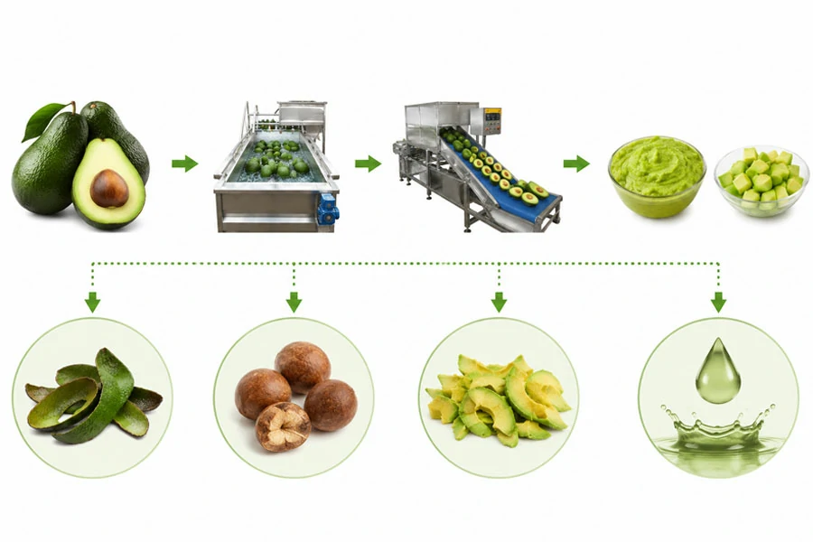 Línea-de-producción-de-fertilizante-orgánico-de-aguacate-3